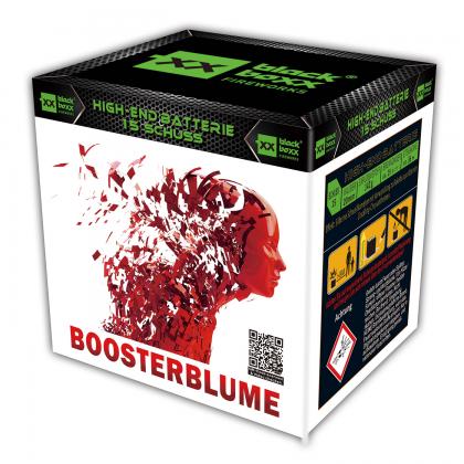 Blackboxx Boosterblume Feuerwerksbatterie, 15 Schuss