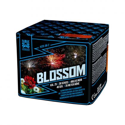 Funke Argento Blossom Feuerwerksbatterie 36 Schuss 25mm
