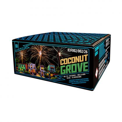 Funke Argento Coconut Grove 144 Schuss 25 ca. 2000g Verbundfeuerwerk 1.3G
