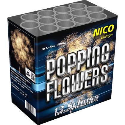 Nico Popping Flowers Feuerwerksbatterie 13 Schuss